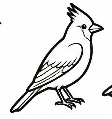 how to draw a bird 2.webp